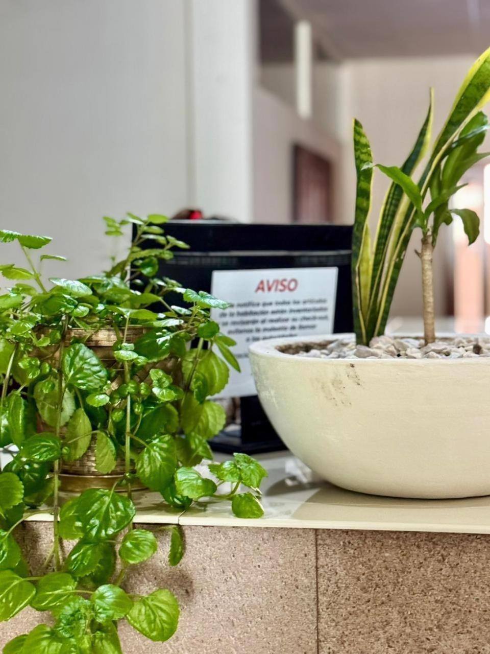 Hotel Marney Aguascalientes Ngoại thất bức ảnh